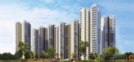 Flats for Rent in Amrapali Heartbeat City Sector 107 Noida