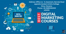 Digital Marketing Course in Sirsa - Digital Skills Institute in Sirsa