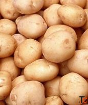 Potato Suppliers in India