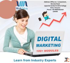 Digital marketing institute in Sirsa With top Class Internship