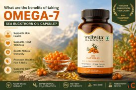 What Are the Benefits of Taking Omega-7 Sea Buckthorn Oil Capsule