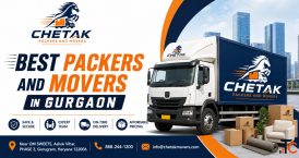 Home Shifting Packers Movers in Sector 31 Gurgaon - Chetak Packers and Movers