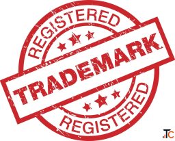 Trademark Application Objected Complete Guide to Filing a Reply in India