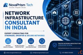 Network Infrastructure Consultant in India