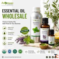 Premium Essential Oils for Wholesale and Bulk Business Supply