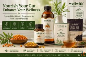 Gut Health Supplements for Better Digestion Daily Wellness