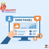 Cheapest SMM Panel for Affordable Social Media Growth