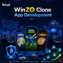 Reliability First WinZO Clone App Development for Long Term Gaming Ventures.