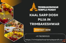 Find A Trusted Pandit For Kaal Sarp Puja In Trimbakeshwar