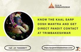 Know the Kaal Sarp Dosh Mantra and Get Direct Pandit Contact at Trimbakeshwar