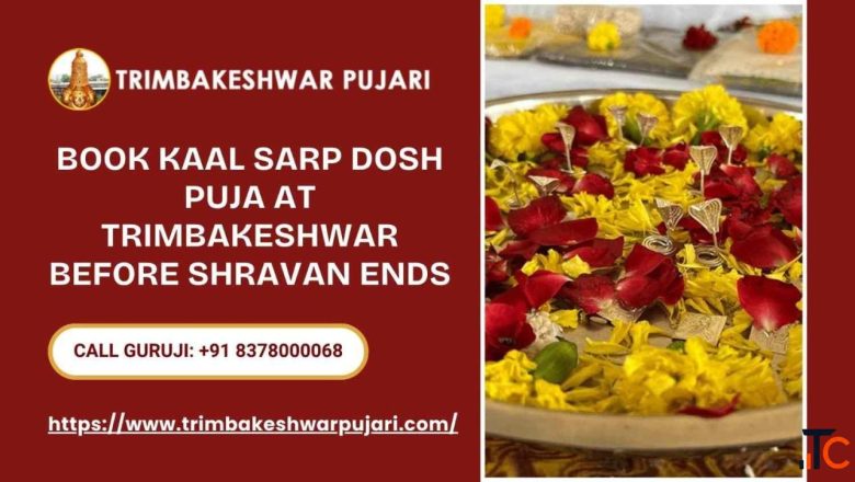 Book Kaal Sarp Dosh Puja At Trimbakeshwar Before Shravan Ends