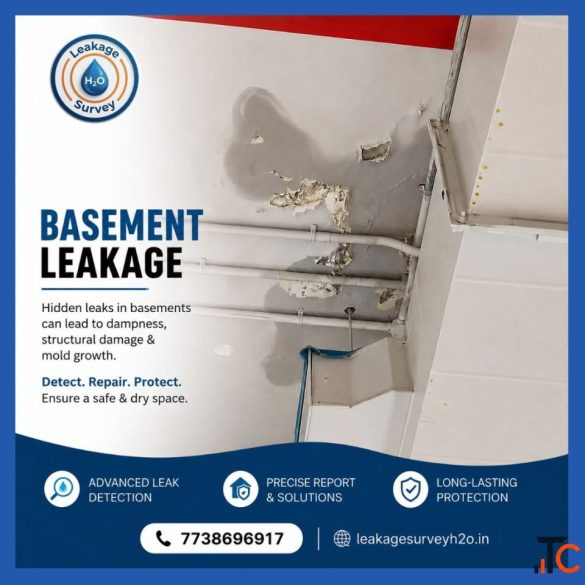 Basement Leakage Detection Services