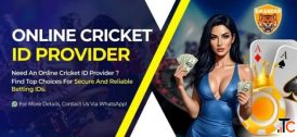 Online Cricket ID - Beginner's Complete Guide