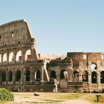 Experience Italy's Creative Scene Through Venice Biennale Travel Planning Tips
