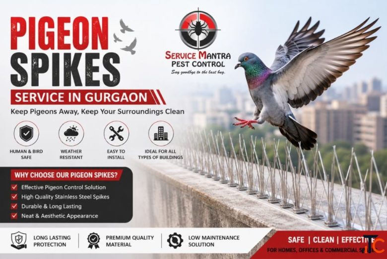 Smart Pigeon Spikes Service in Gurgaon to Stop Nesting and Bird Nuisance