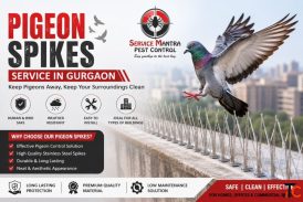 Smart Pigeon Spikes Service in Gurgaon to Stop Nesting and Bird Nuisance