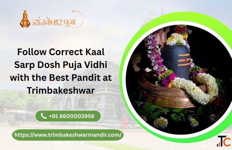 Follow Correct Kaal Sarp Dosh Puja Vidhi with the Best Pandit at Trimbakeshwar