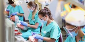 The Preferred Dental Nursing Course UK