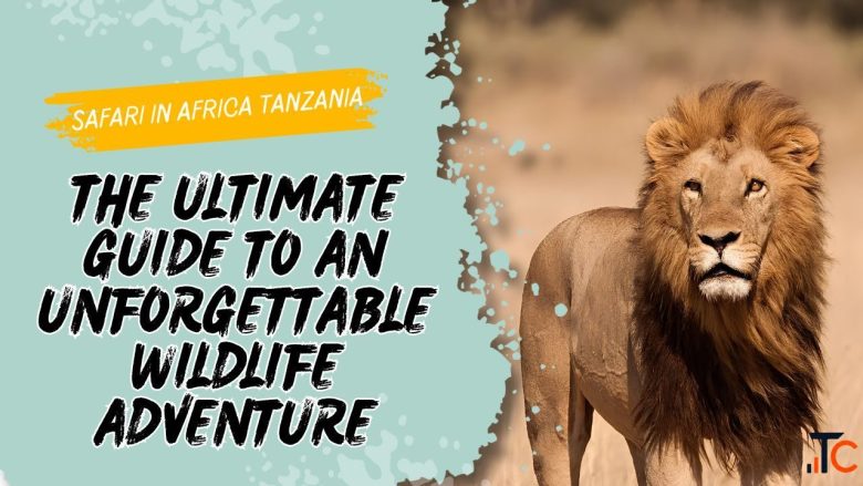 Explore the Best Safari Tours in Tanzania