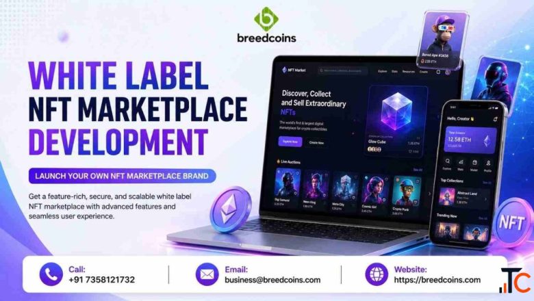 Launch Your NFT Business with White Label NFT Marketplace Development