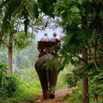 Plan Your Jim Corbett Trip Better With Smarter Booking Choices