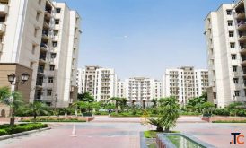 Are Amrapali Golf Homes apartments suitable for family living