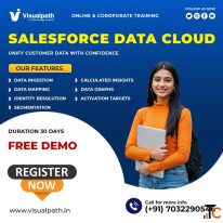 Master Salesforce Data Cloud Classes Hands-On Learning