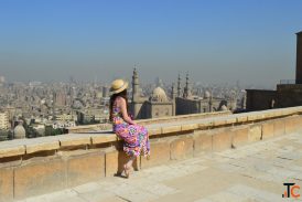 Delhi Local Sightseeing by Bus Explore Delhi in One Day