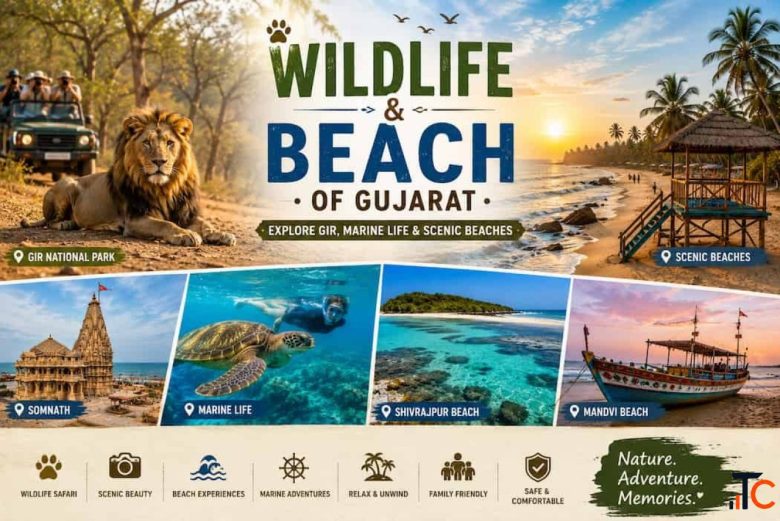 Wildlife And Beach Of Gujarat - Explore Gir Marine Life Scenic Beaches