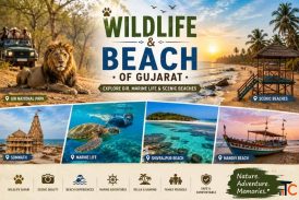 Wildlife And Beach Of Gujarat - Explore Gir Marine Life Scenic Beaches