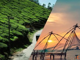 Wayanad Spice Trails Kochi Forts Coastal Food Why Make This a Road Trip