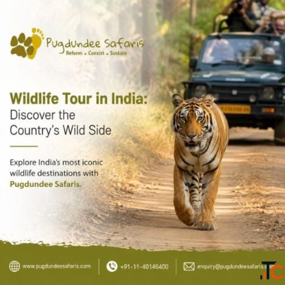 Wildlife Tour in India Discover the Country's Wild Side