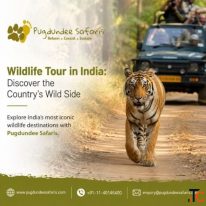 Wildlife Tour in India Discover the Country's Wild Side