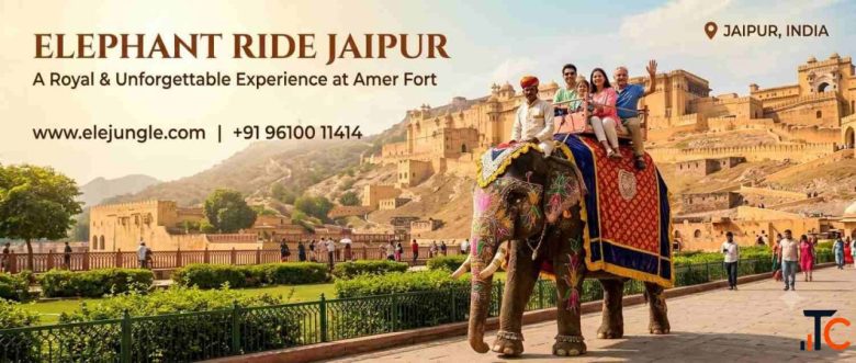 Explore Amer Fort on an Elephant A Unique Jaipur Experience