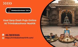 Kaal Sarp Dosh Puja Online At Trimbakeshwar Nashik