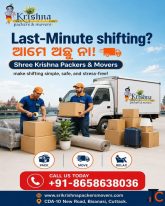 Best Packers and Movers in Angul
