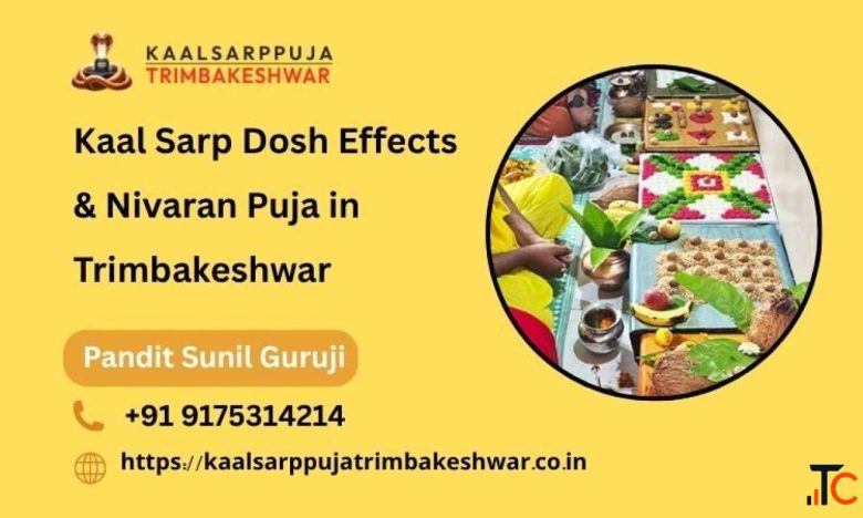 Kaal Sarp Dosh Effects Nivaran Puja in Trimbakeshwar