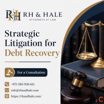 Facing a Commercial Litigation Issue in Dubai
