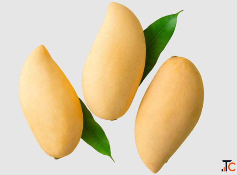 Mango Pulp Exporter Manufacturer and Suppliers in India