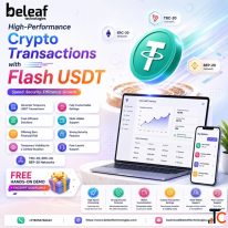 Designed for High-Speed USDT Transactions With Flash