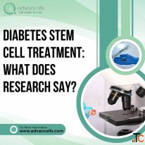 Diabetes Stem Cell Treatment What Does Research Say