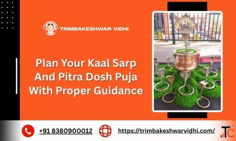 Plan Your Kaal Sarp And Pitra Dosh Puja With Proper Guidance