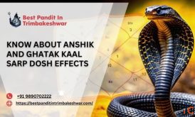 Know About Anshik And Ghatak Kaal Sarp Dosh Effects