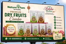 Premium Dry Fruits Combo - Healthy Delicious Naturefam