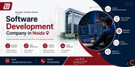 Software Development Company in Noida