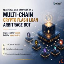 Technical Architecture of a Multi-Chain Crypto Flash Loan Arbitrage Bot