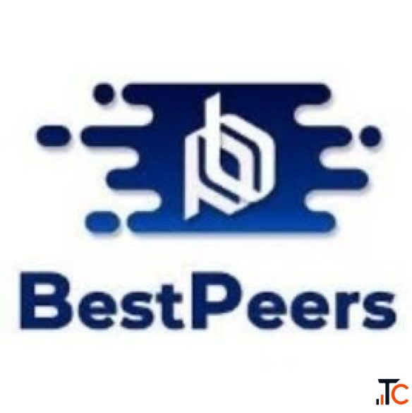 IT Staff Augmentation Services to Scale Your Tech Team BestPeers
