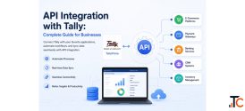 API Integration with Tally Complete Guide for Businesses