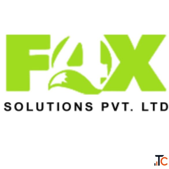 Professional Web Design Development Services - 4FOX Solution