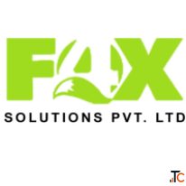 Professional Web Design Development Services - 4FOX Solution
